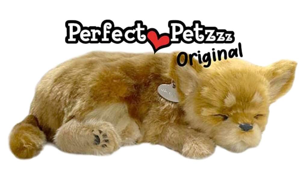Perfect Petzzz Chihuahua | School Specialty